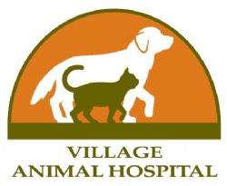 乡村动物医院