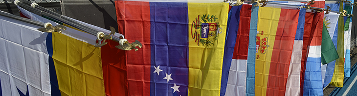 世界语言旗帜